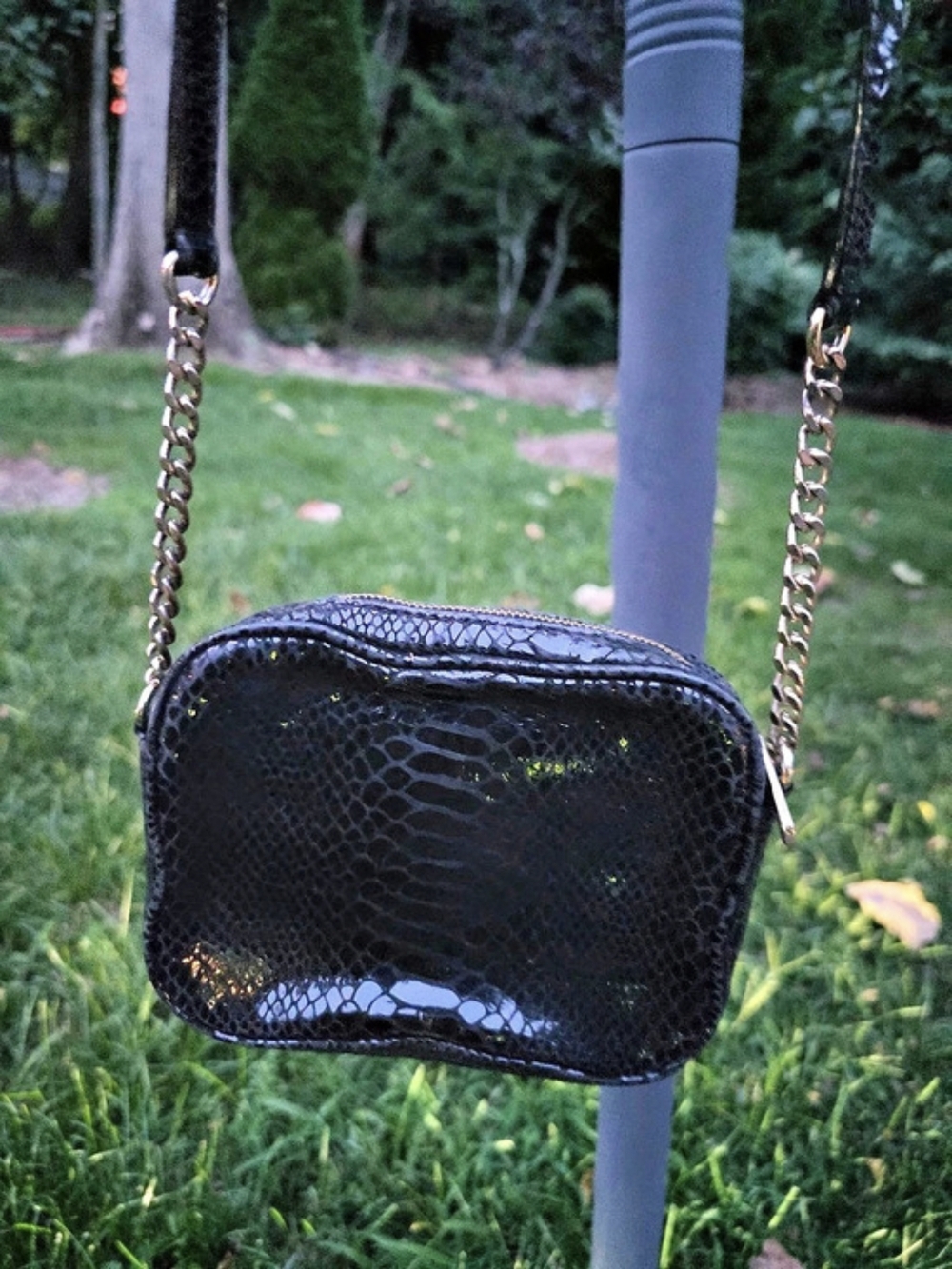 Michael Kors Black Snakeskin Embossed Crossbody Bag